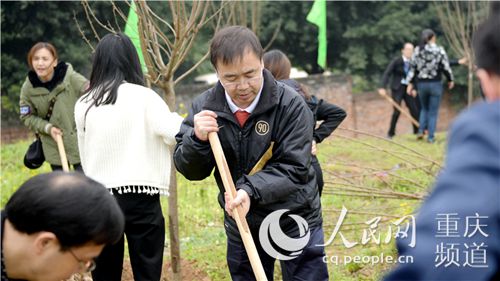 【聚焦重庆】重庆大学开展公益植树活动 师生共建绿色校园