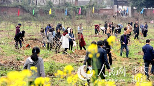 【聚焦重庆】重庆大学开展公益植树活动 师生共建绿色校园