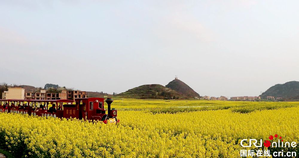 【多彩贵州·花漾中国】安顺平坝：昊禹油菜花海春色美如画_fororder_2023-03-18 13-40-20_副本