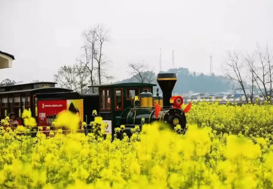 【原创】重庆推出200余项春季文旅活动_fororder_微信图片_20230320114509