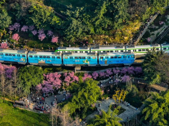 【原创】重庆推出200余项春季文旅活动_fororder_微信图片_20230320114504