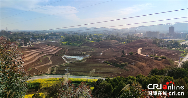 重庆垫江：丘陵山区高标准农田整治 激活乡村振兴市场主体_fororder_图片1