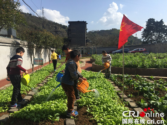 【社会民生】万盛经开区各级关工委开展环保植树活动