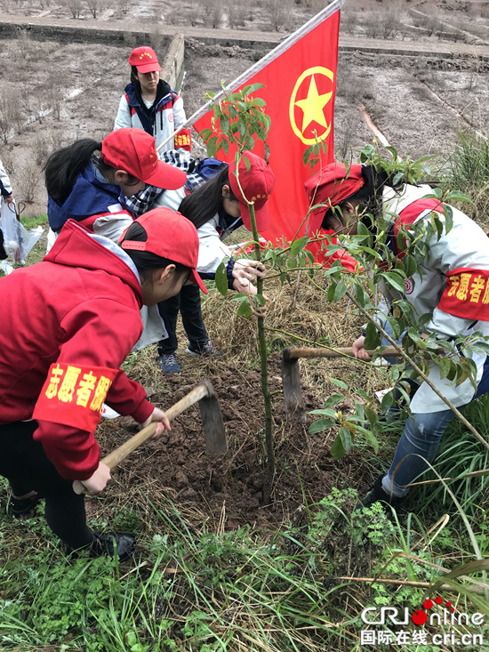 【社会民生】万盛经开区各级关工委开展环保植树活动