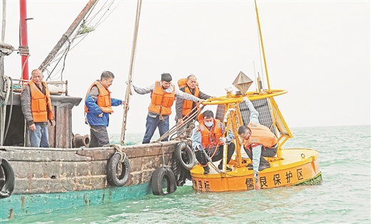 广西实现声学监测海洋哺乳动物