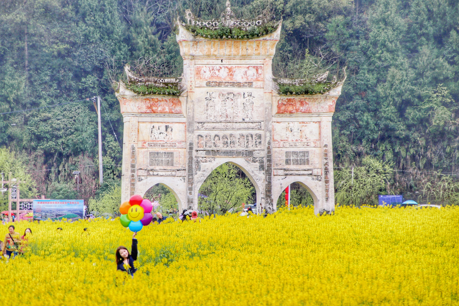 多彩贵州·花漾中国丨遵义凤冈长碛 古寨里的春日盛景