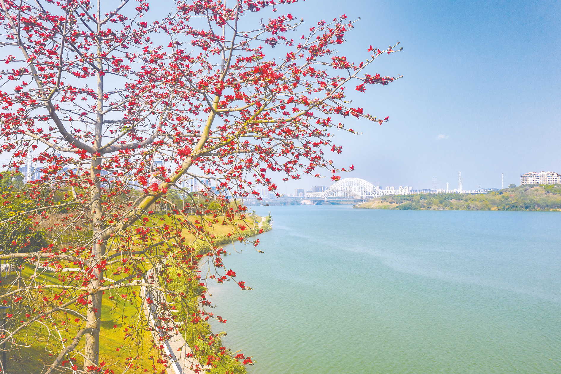 南疆春色芬芳艳 文旅秀出新“花”样