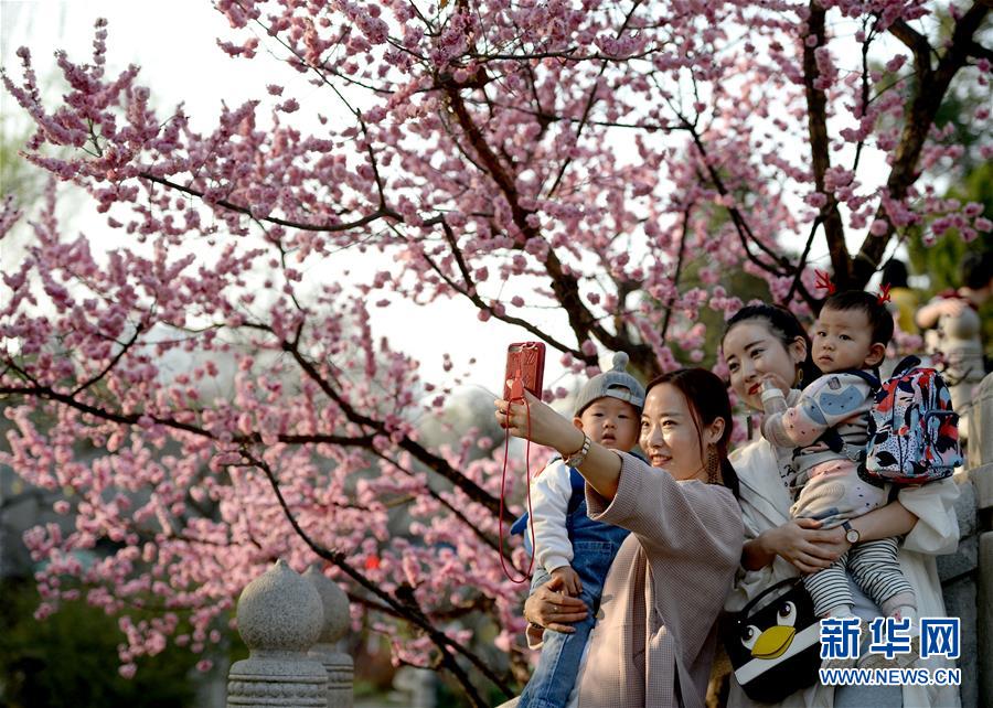 陕西西安：春暖花开竞芳菲