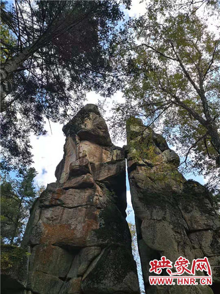 【新时代东北振兴】“大屯子”变身“旅发地”！林都伊春“绿色振兴”踏歌行