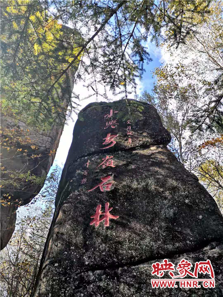 【新时代东北振兴】“大屯子”变身“旅发地”！林都伊春“绿色振兴”踏歌行