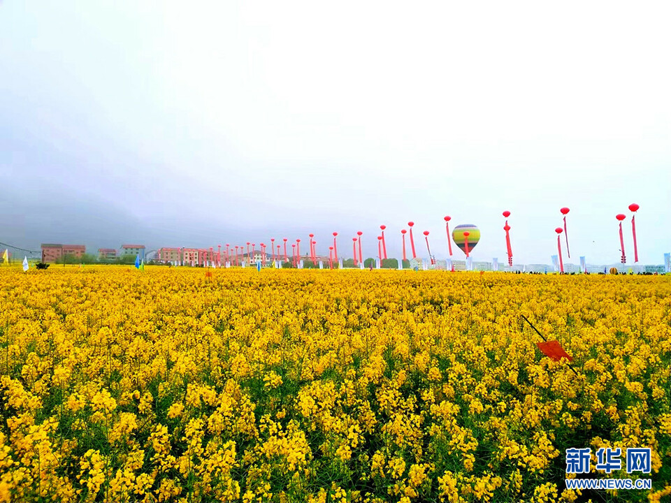 共赴花海之约 黄冈武穴市第十届（祥云）油菜花节开幕