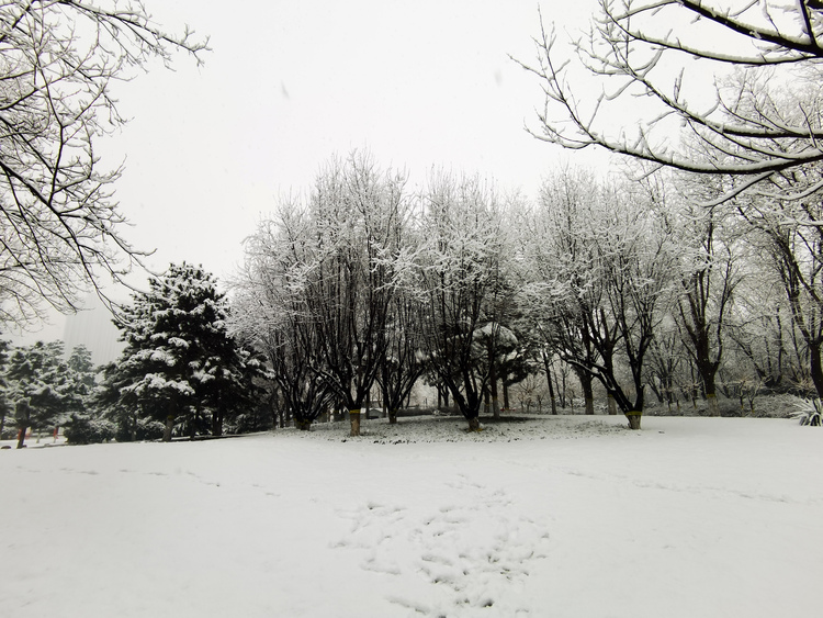 Donghuan Park in Shijiazhuang: Picturesque Snow Scenes_fororder_74