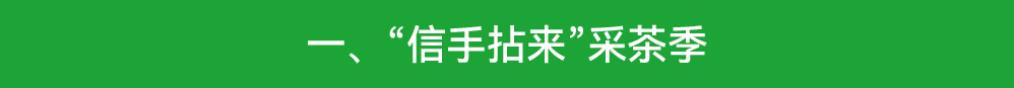 【客户端转发】美好生活·青春信阳！第31届信阳茶文化节活动缤纷多彩