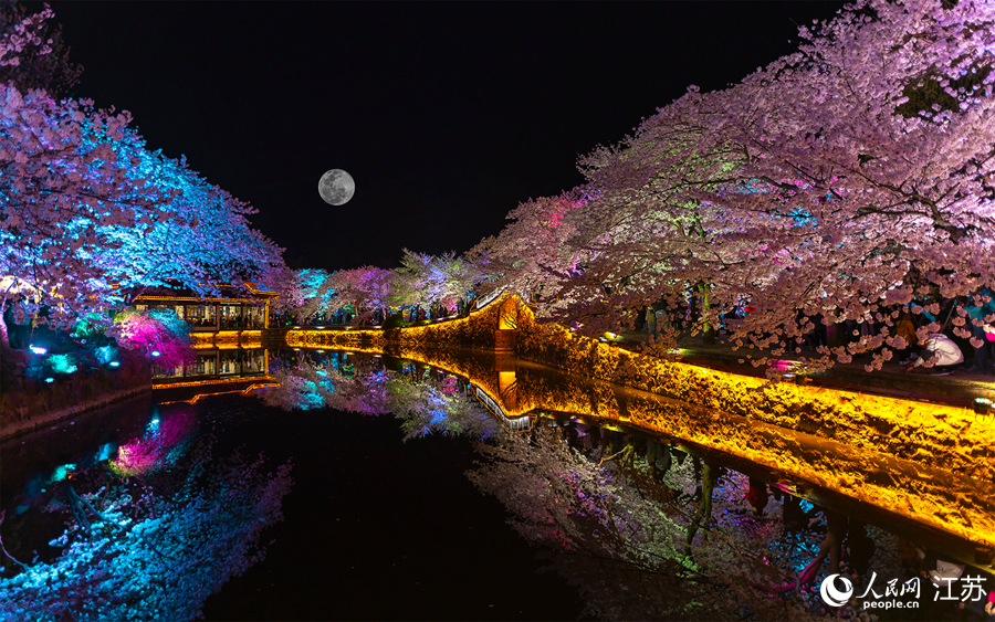 江苏：“赏花经济”活力旺