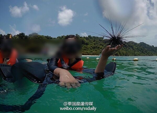 中国游客非法潜水捞海胆和巨蚌？ 泰媒：遭蓄意抹黑