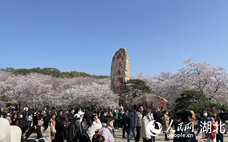 湖北武汉：人潮花海 不负春天