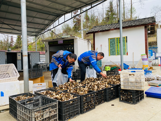 （供稿）贵州务川：沃野春潮涌 “耕”新正当时_fororder_微信图片_20230329102447