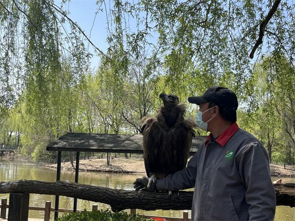 “五一”小长假嗨起来 沈阳推出多个旅游项目_fororder_动物园3_副本