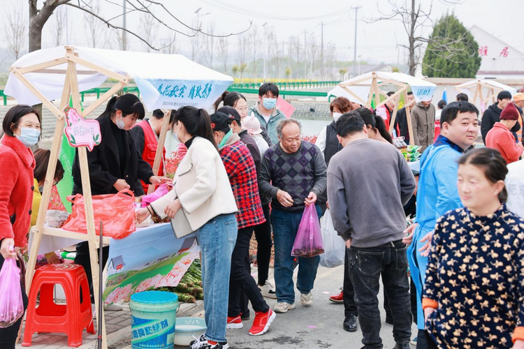 2023中国·肥东张集牡丹文化旅游节开幕_fororder_图片3