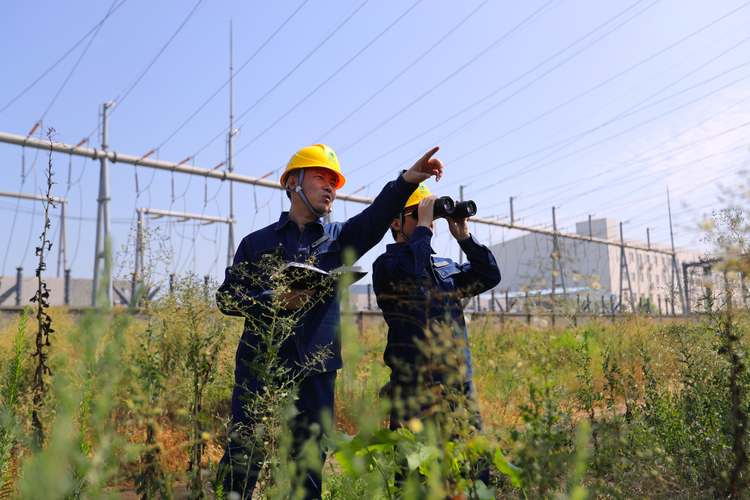 国网陕西电力：严防山火隐患 确保电网安全_fororder_国网陕西电力员工对易发生火灾区域进行巡视.JPG