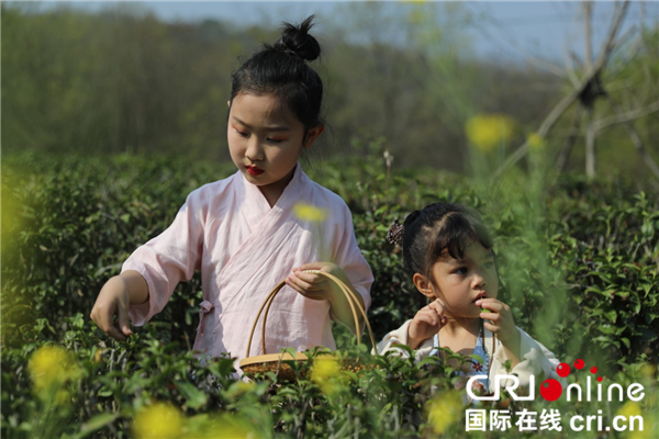 荆门漳河新区举办首届花朝节赏花雅集活动_fororder_图片9