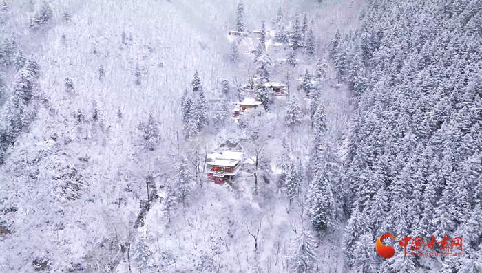 【轮播图】兰州榆中：春雪飘洒润兴隆 玉树琼花漫山开_fororder_3