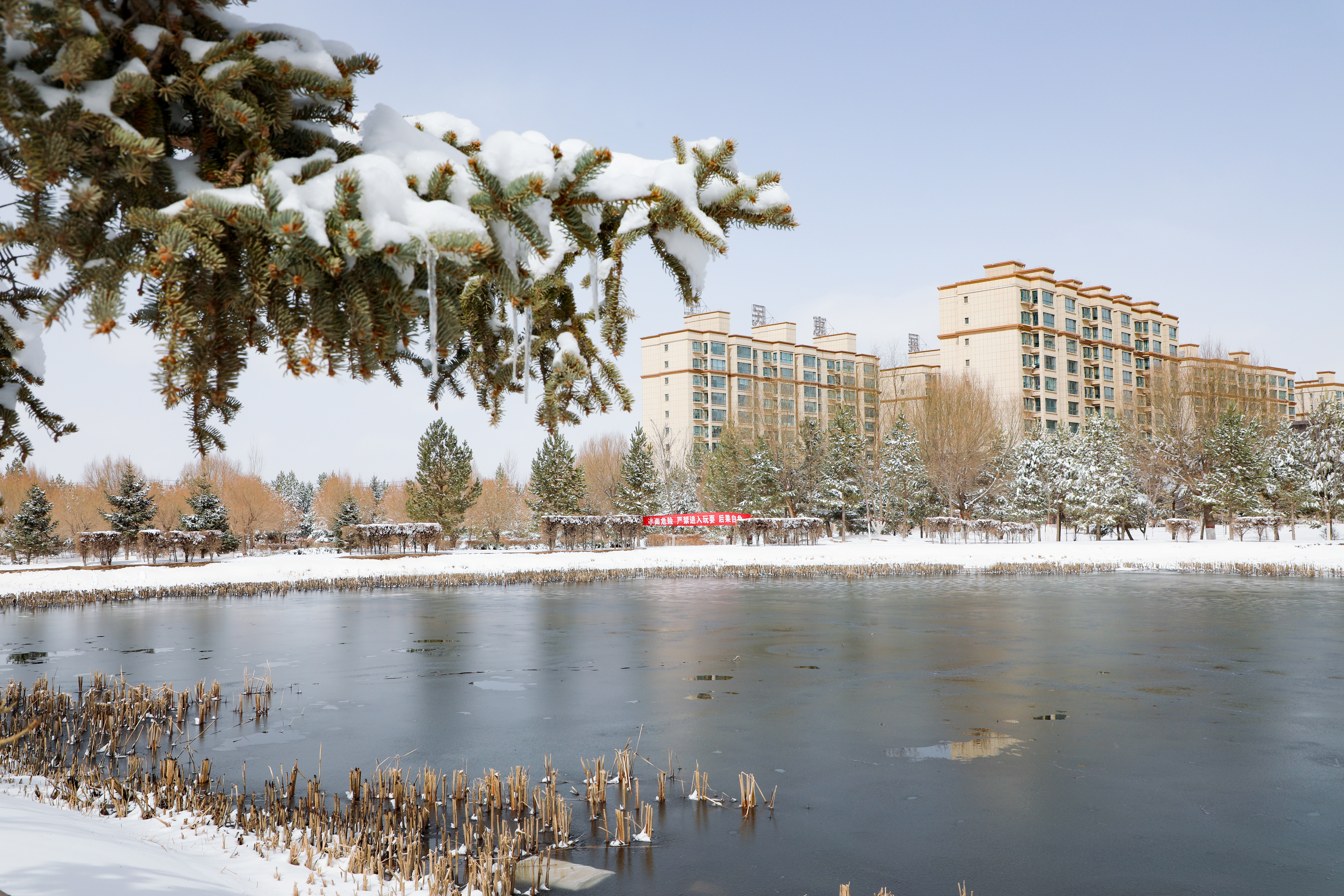 【原创】【轮播】张掖民乐县：春雪之后 民乐大地银装素裹_fororder_春雪过后，民乐县城一片银装素裹，一副绝美的江南画卷，仿佛进入了童话世界一般1。王晓泾摄