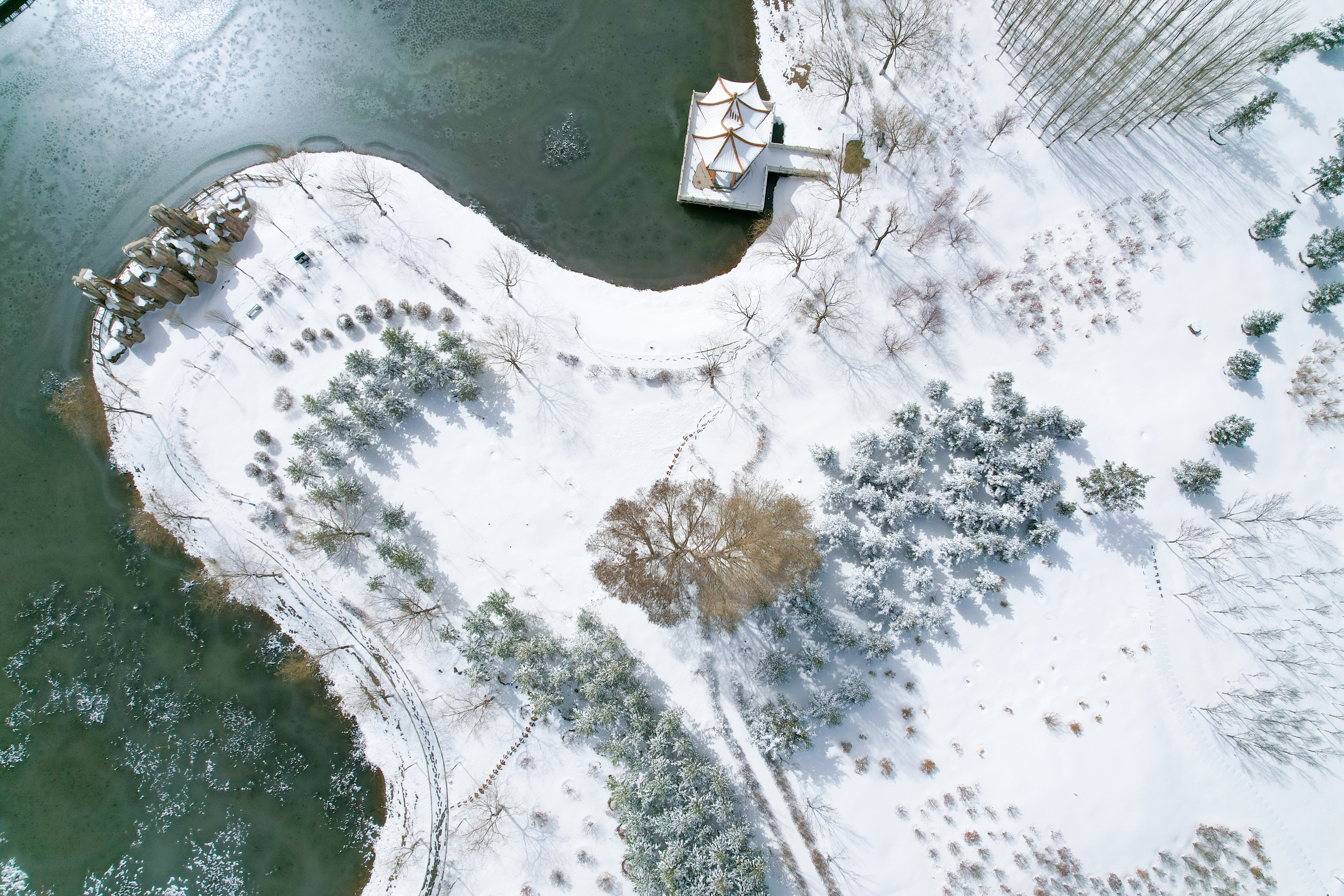 【原创】【轮播】张掖民乐县：春雪之后 民乐大地银装素裹_fororder_春雪过后，位于城西的民乐公园被春雪轻掩，人工湖与河岸相互映衬。陈思宏摄