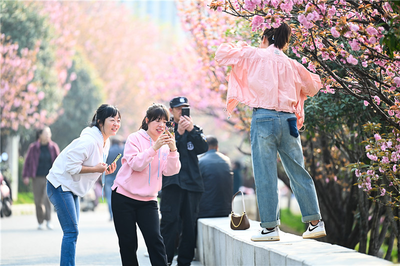 信阳新县：一路繁花一路景_fororder_市民纷纷打卡留影 蒋仑 摄.JPG