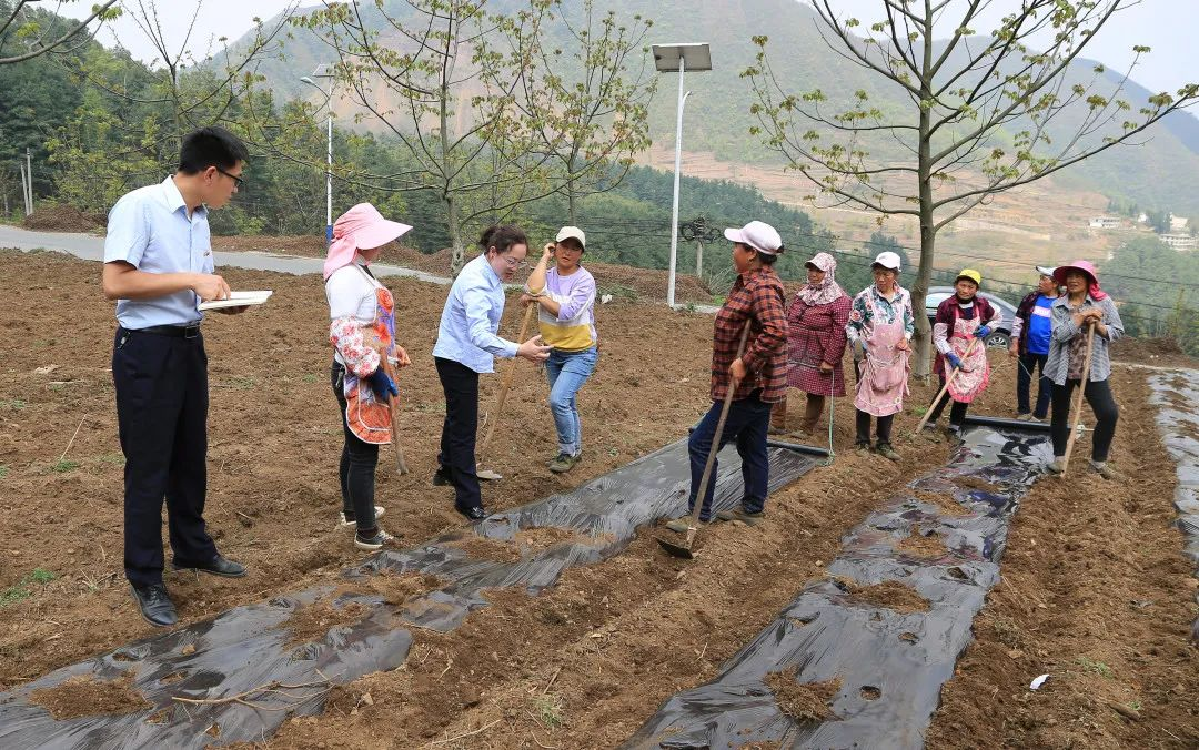 全国“两红两优”光荣榜揭晓 邮储银行1集体获全国五四红旗团支部称号