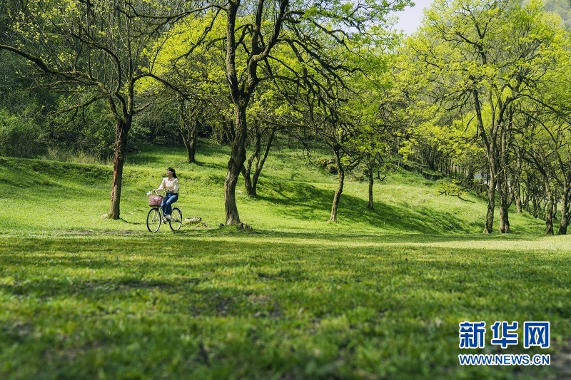 湖北恩施州：深山湿地 生态如画