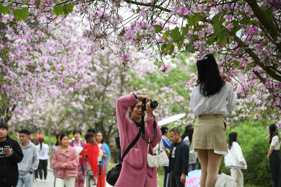 广西：花映楼桥美如画