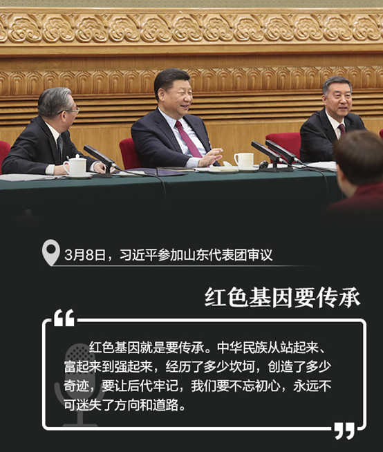 原声相册！两会下团组，习近平这些话发人深省