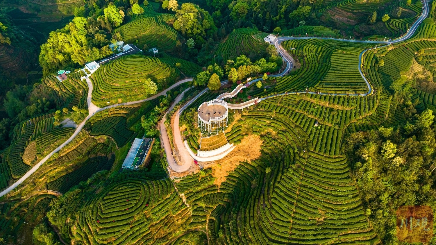 （转载）航拍雅安“大地指纹”茶山 感受人与自然的杰作