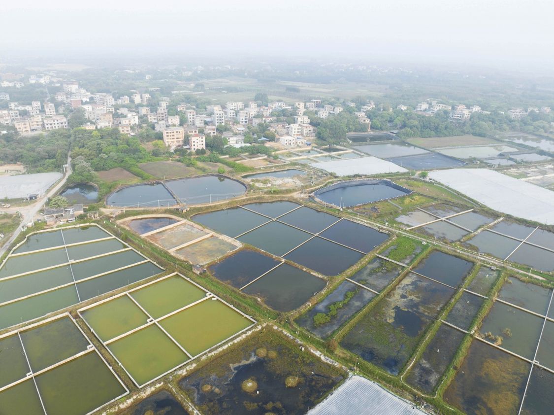 广西：田园景色美