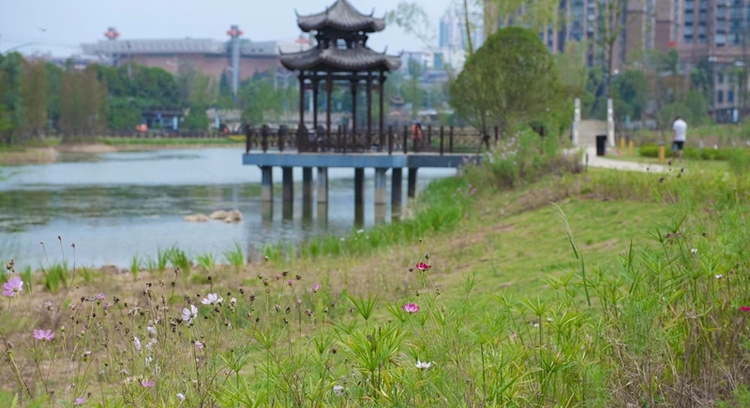 （供稿）贵阳市白云区河长制持续发力 守护一湾碧水_fororder_微信图片_20230410093121