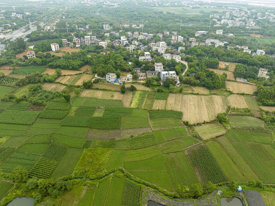 广西：田园景色美