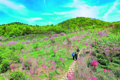 南京：老山腹地春花烂漫