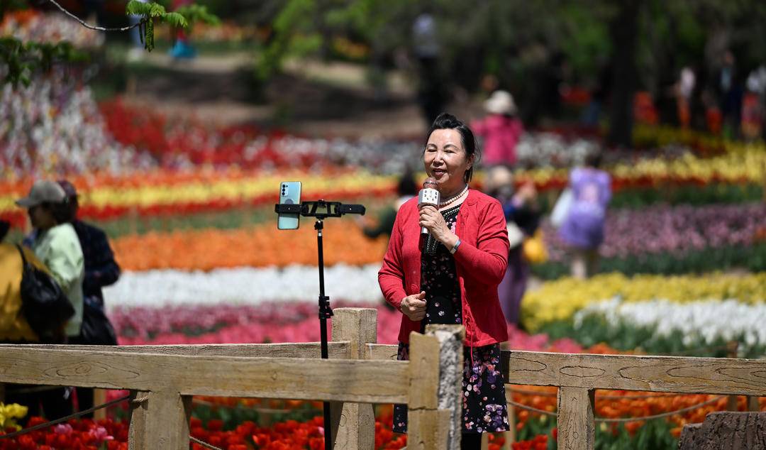 （推中首）沈阳世博园：郁金香花开迎客来