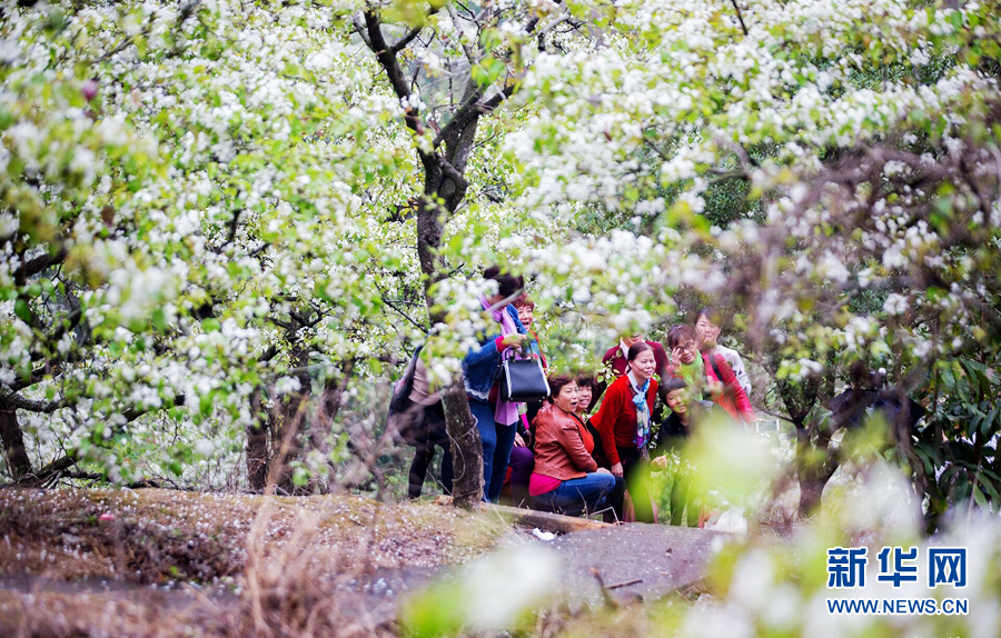 广东潮州：梨花带雨 山溪野径处处景