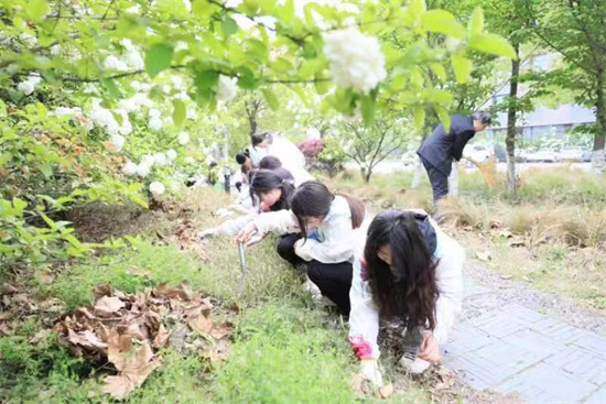 泰州职业技术学院药学院绣球湾里“五育并举”花团锦簇_fororder_图片4