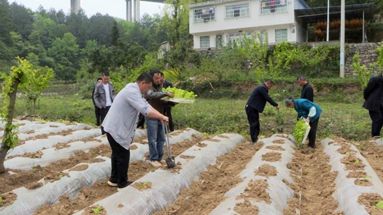 （供稿）贵州瓮安：田间地头开课堂 烤烟移栽“充电”忙_fororder_3