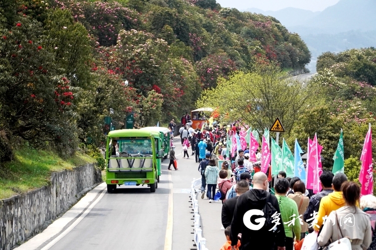 赏花游持续升温 百里杜鹃30天接待游客200余万人次