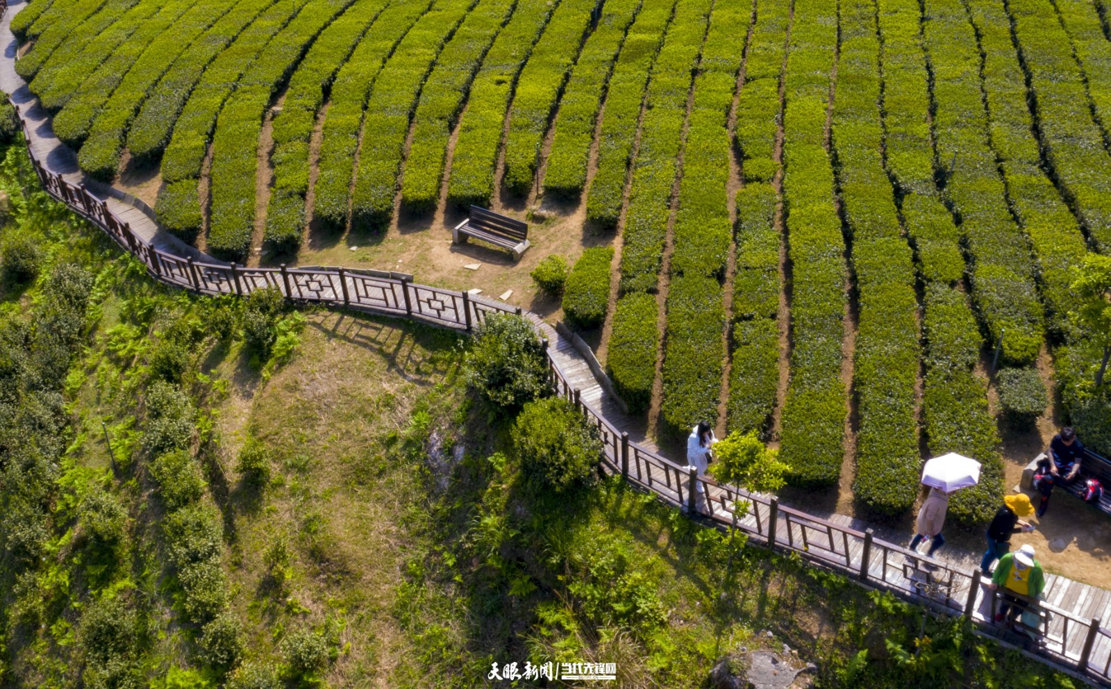 （中首）牢牢守好发展和生态两条底线｜贵州全力以赴在生态文明建设上出新绩