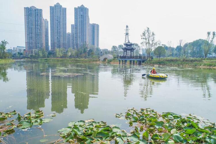 贵阳市白云区七彩湖变身湿地公园 成城市黑臭水体治理样板_fororder_微信图片_20230419140206