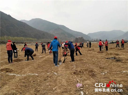 (已改）【三秦大地 宝鸡+移动列表】500株公益花椒扎根凤县 宝鸡“旅游+公益+扶贫”效果明显