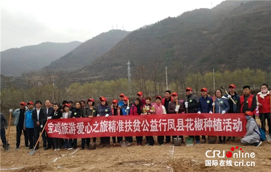 (已改）【三秦大地 宝鸡+移动列表】500株公益花椒扎根凤县 宝鸡“旅游+公益+扶贫”效果明显