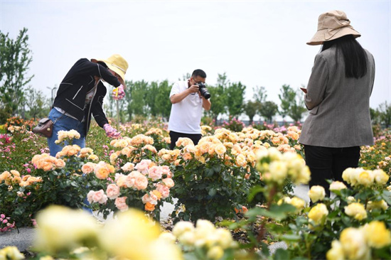 花千树 香满路：历史名城南阳的“绿色”跃升_fororder_3