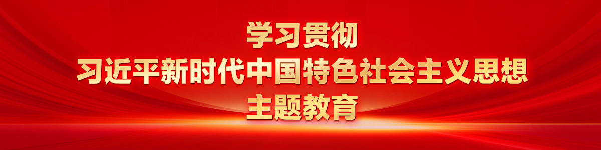 学习贯彻习近平新时代中国特色社会主义思想主题教育_fororder_ad-1200X300(3)