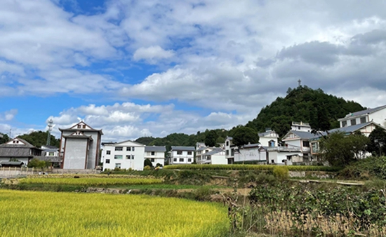 贵阳市白云区以“五治”为抓手扮靓农村生态打造和美乡村_fororder_微信图片_20230420144455